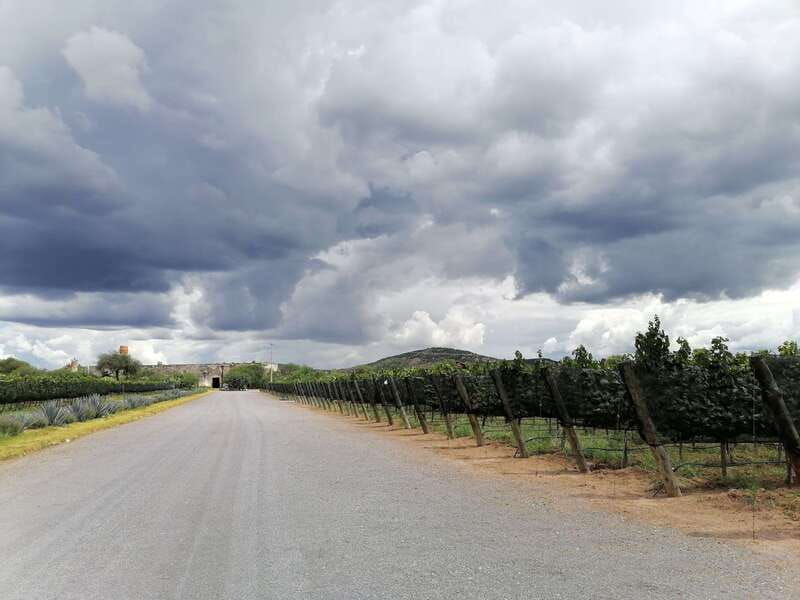 queretaro-hacienda-atongo-experience-tour
