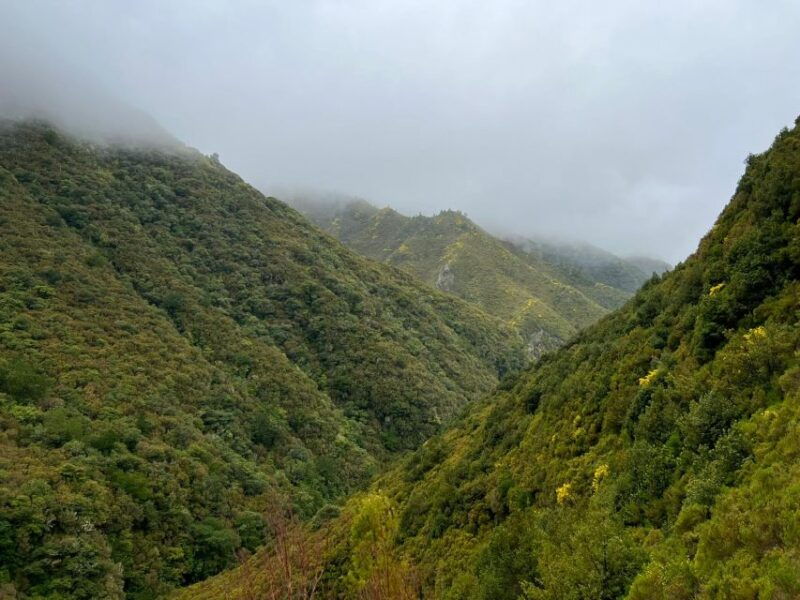 rabacal-25-fontes-risco-levada-transfer-self-guided-hike