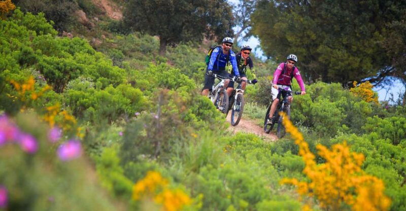 ramatuelle-tracks-tasting-winery-tour-by-mountain-e-bike