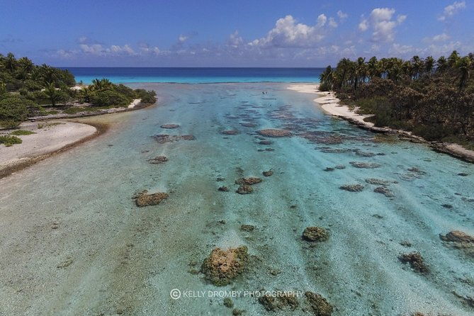 Reef island private tour - Key Points