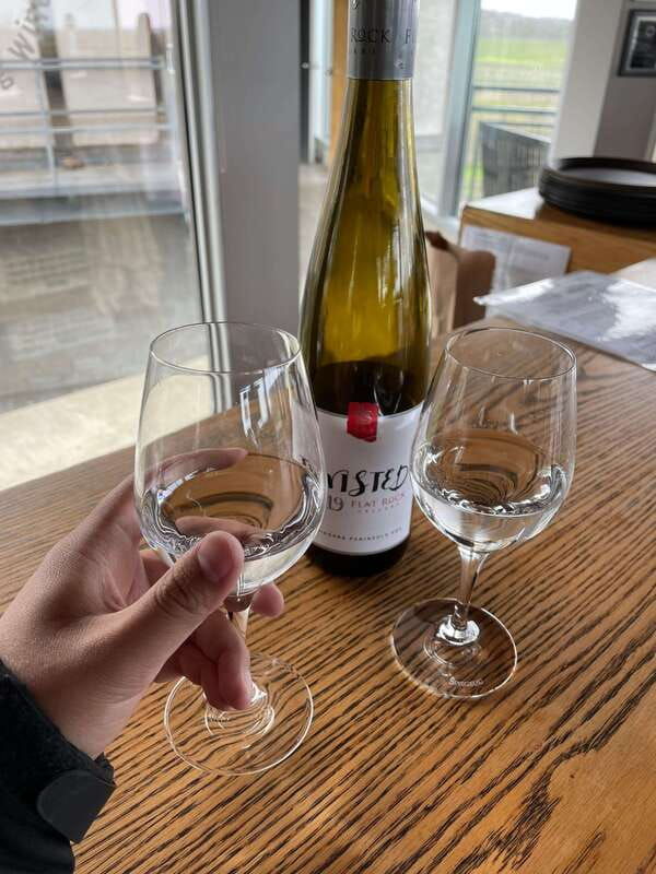 relaxing-lunch-wine-tour-through-niagaras-wine-country