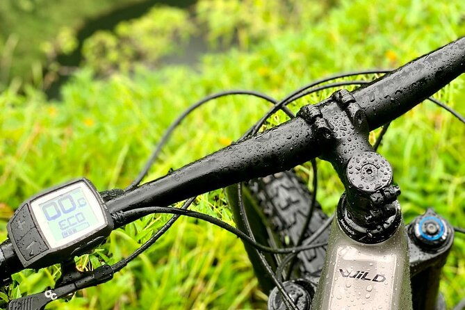 Rental of an Electric Mountain Bike on the Tahiti Peninsula - Why Choose This Bike Rental Experience in Tahiti?