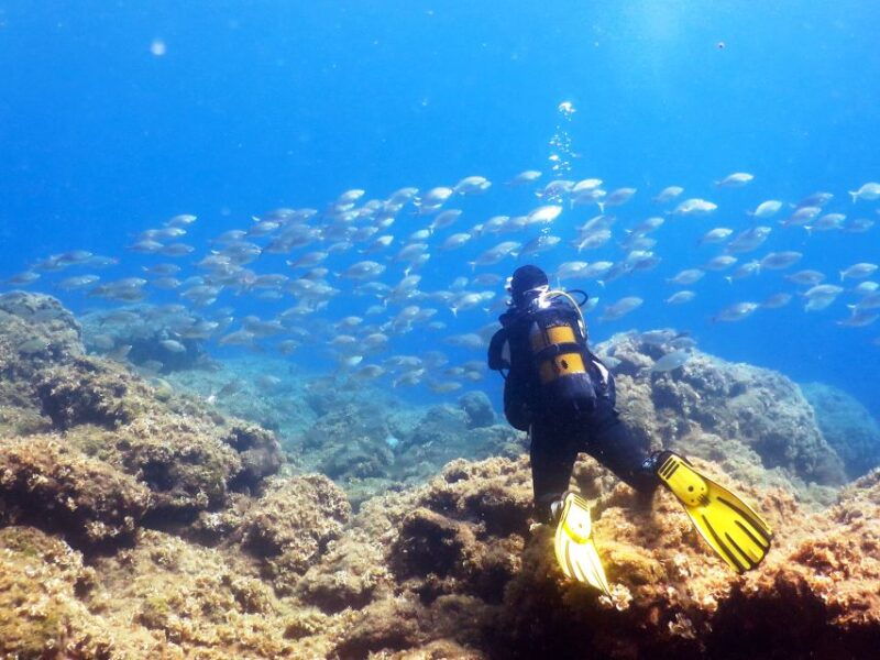 rhodes-diving-adventure-for-beginners-and-experts