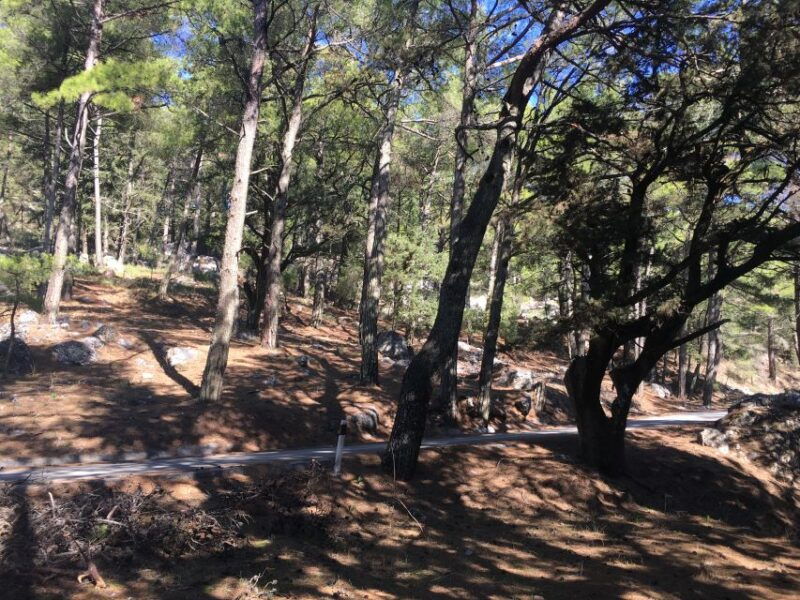 rhodes-full-day-4wd-northern-safari-tour