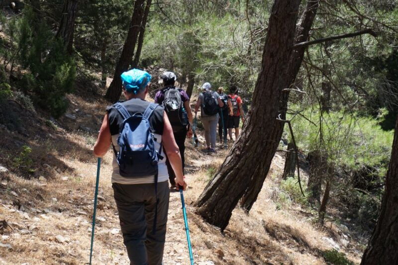rhodes-hiking-tour-to-the-summit-of-akramitis-with-photos