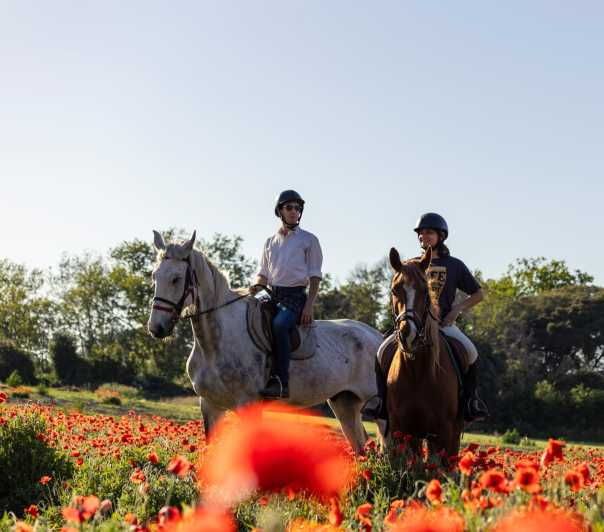 romantic-day-in-ancient-rome