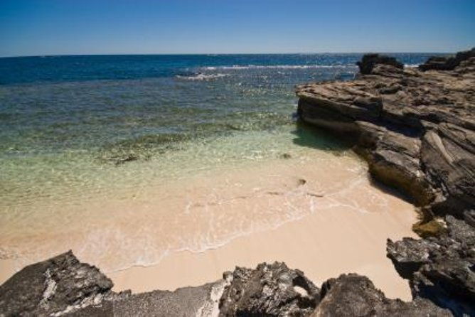 Rottnest Island Historical Train and Tunnel Tour from Hillarys Boat Harbour - Key Points