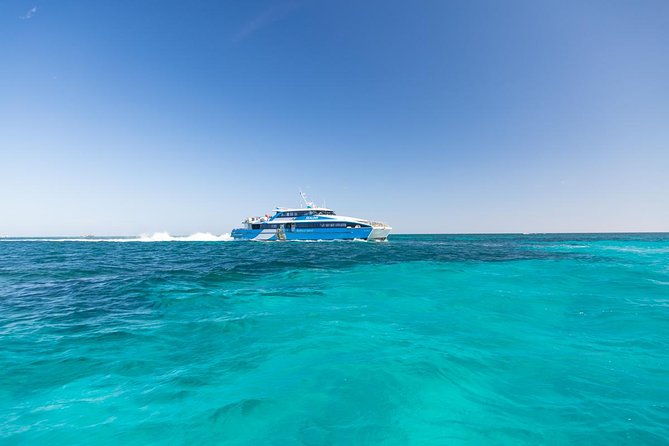 Rottnest Island Skydive Including Round Trip Ferry from Fremantle - Quick Intro: What Makes This Skydiving Adventure Special  