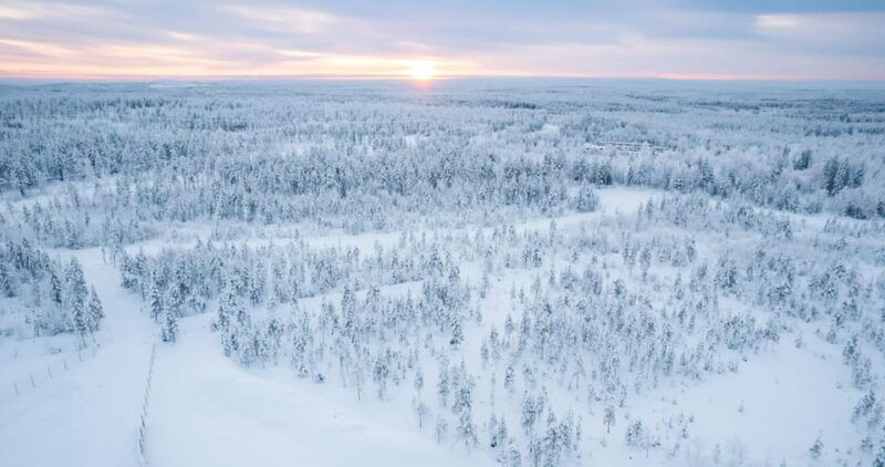 rovaniemi-700-m-reindeer-safari-and-visit-to-reindeer-farm