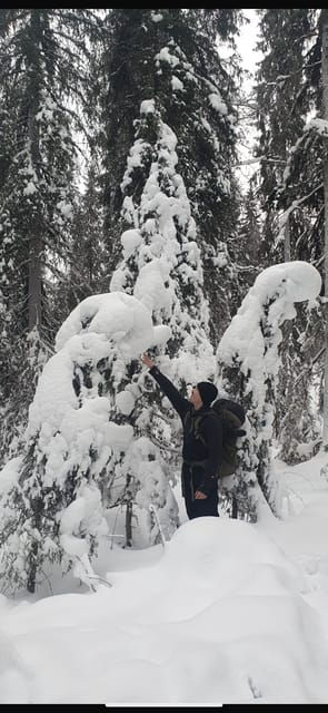 rovaniemi-korouoma-canyon-frozen-waterfalls-day-trip