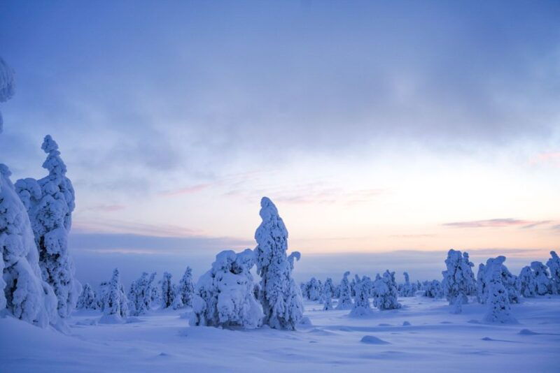 rovaniemi-riisitunturi-national-park-day-trip-with-lunch