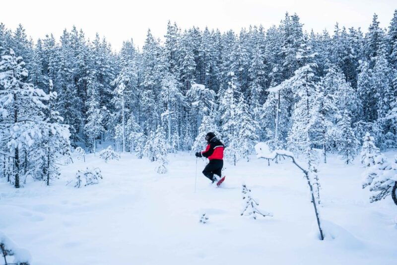 rovaniemi-snowshoe-wilderness-adventure