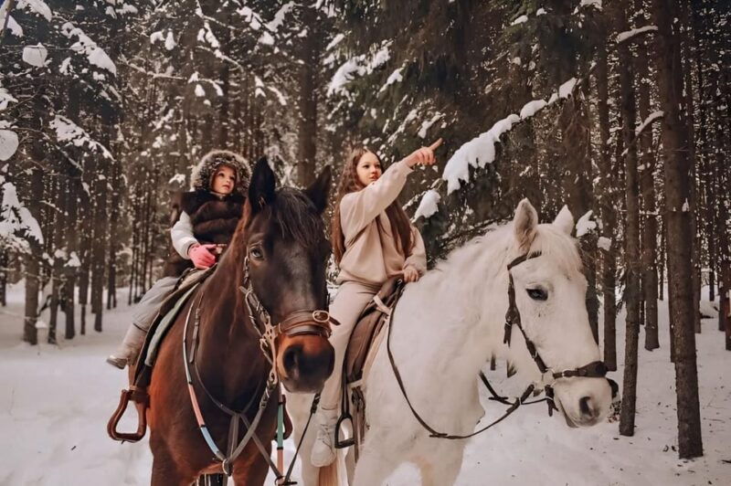 rovaniemi-winter-horse-riding-in-arctic-nature