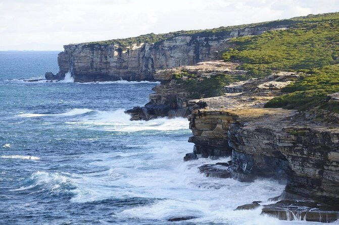 Royal National Park Hike, Swim and Wildlife Tour - Exploring the Royal National Park Hike, Swim, and Wildlife Tour