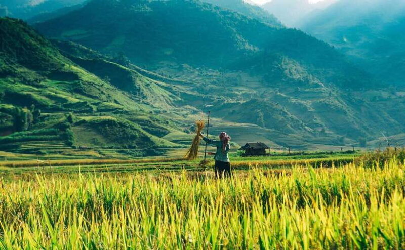 sa-pa-2-day-trekking-tour-with-ethnic-minority-homestay