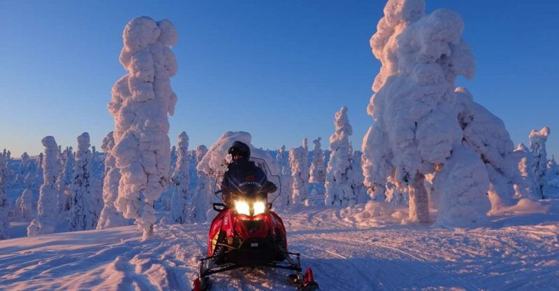 saariselka-evening-snowmobile-tour-with-fire-picnic