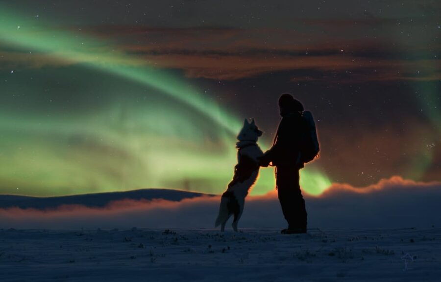 saariselka-husky-safari-with-aurora-borealis-hunt
