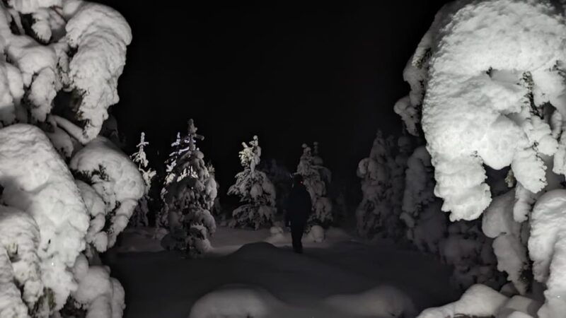 saariselka-snowshoeing-tour-in-urho-kekkonen-national-park