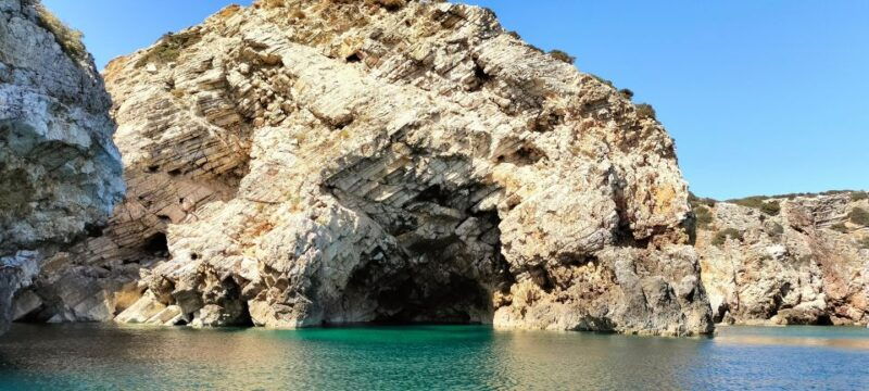sagres-wildlife-tour-dolphins-and-caves