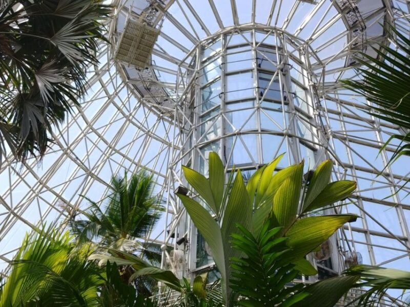 san-antonio-citypass-save-up-to-51-on-4-top-attractions
