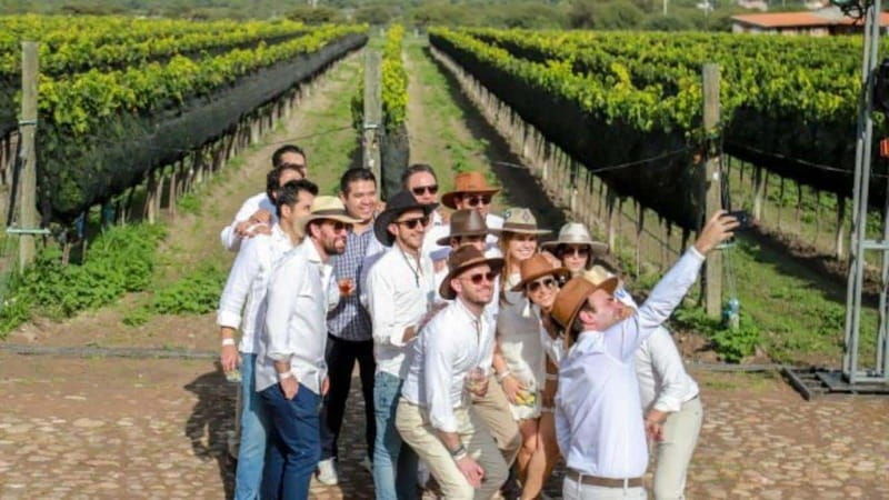 san-jose-lavista-wiinery-vineyard-tasting-aperitif