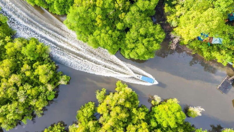 sandakan-orangutan-sun-bear-fireflies-and-mangrove-cruise