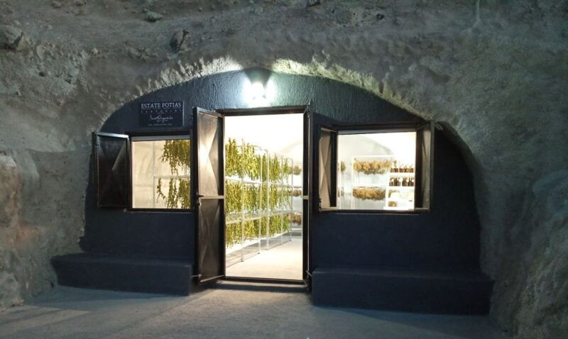 santorini-private-agri-educational-visit-to-an-organic-farm-2