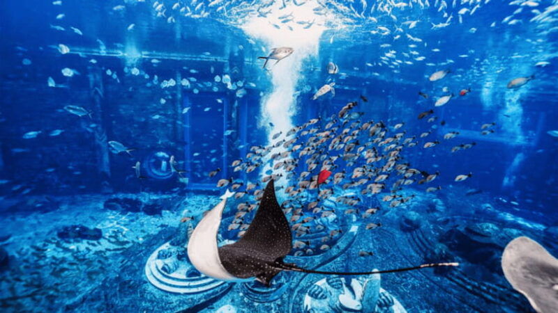sanya-atlantis-lost-chambers-aquarium
