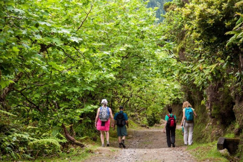 sao-miguel-full-day-hike-to-lagoa-do-fogo