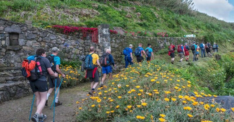 sao-miguel-ribeira-funda-hike-tea-plantation-with-lunch