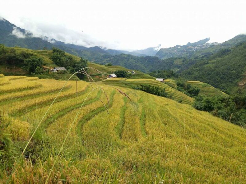 sapa-bike-tour-to-muong-hoa-valley-and-local-life-experience