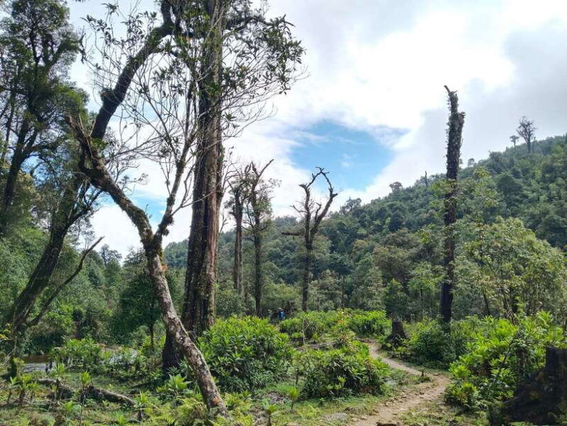 sapa-climb-up-to-fansipan-mountain-with-local-guide