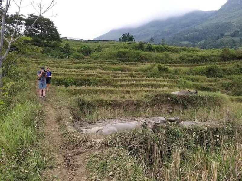 sapa-private-trek-to-muong-hoa-valley