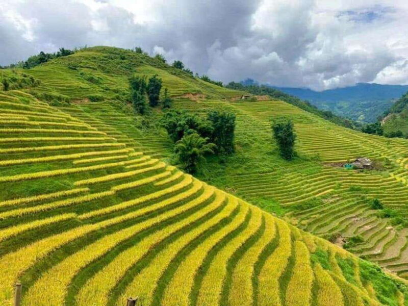 sapa-trekking-cat-cat-village-and-ham-rong-mountain-3d2n
