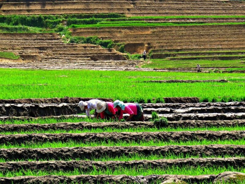 sapa-trekking-muon-hoa-2-days-1-night