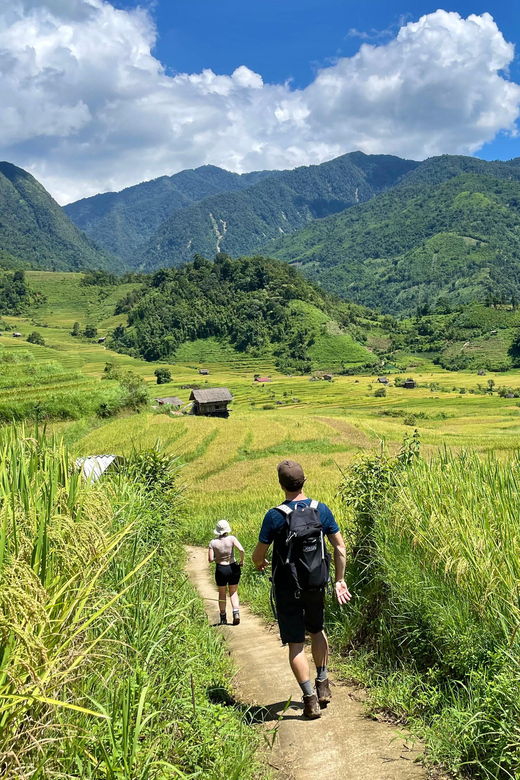 sapa-trekking-through-terraced-rice-fields-valley-1-day