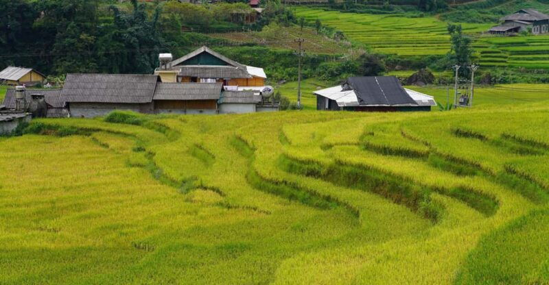 sapa-trip-to-y-linh-ho-lao-chai-ta-van-cat-cat-village