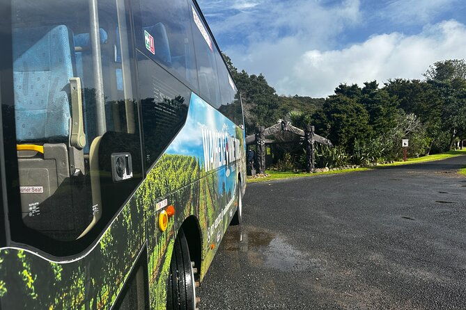 Scenic Maori Cultural Tour Of Waiheke Island With Lunch - Key Points