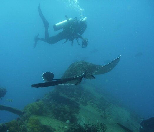 Scuba Dive the S.S. Yongala Wreck on the Great Barrier Reef. - Key Points