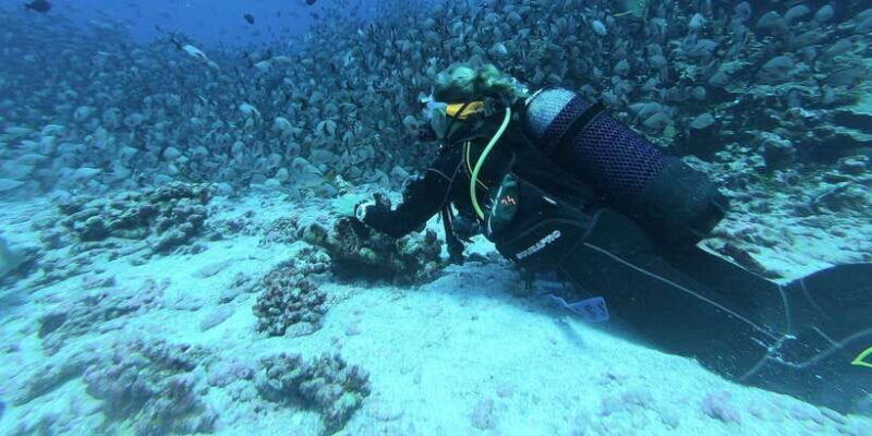 scuba-diving-in-hikkaduwa
