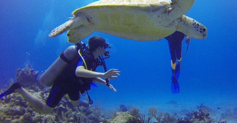 scuba-diving-in-paracas