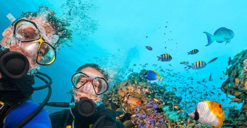 scuba-diving-tour-from-marmaris-and-icmeler