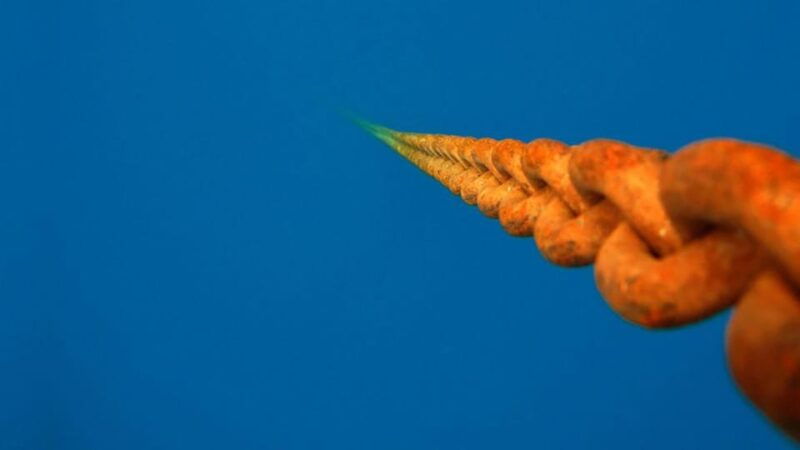 scuba-diving-tour-with-transfer-from-alanya-and-city-of-side-2