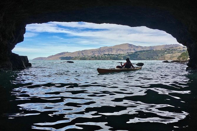 Sea Kayaking Christchurch, Lyttelton Harbour & Quail Island - Exploring the Sea Kayaking Christchurch, Lyttelton Harbour & Quail Island Experience
