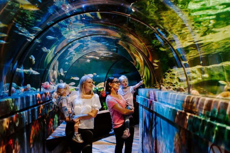 sea-life-brighton-admission-ticket-2