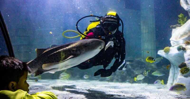 sea-life-porto-full-day-entrance-ticket