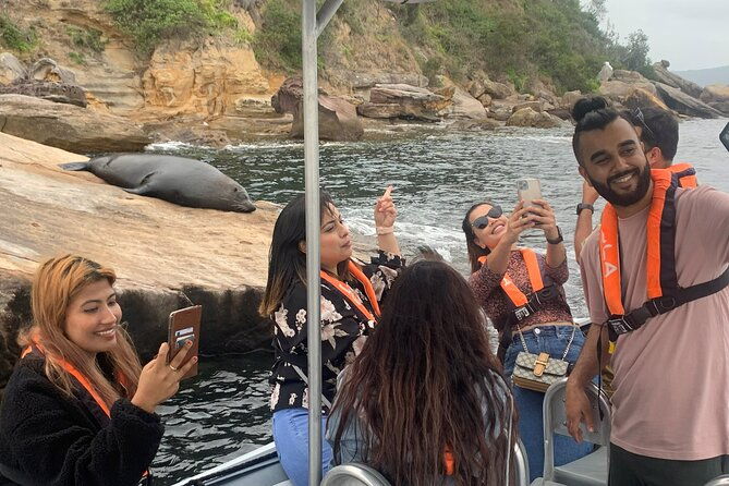 Seal & Dolphin Adventure - An In-Depth Look at the Seal & Dolphin Adventure