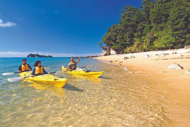 Seal Sanctuary Tour - Guided Kayaking - New Zealand - A Review of the Seal Sanctuary Guided Kayaking Tour in New Zealand