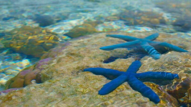 semporna-island-hopping-tropical-trio-sabah