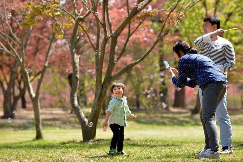 seoul-nami-island-petite-france-tour-with-railbike-option